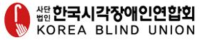 한국시각장애인연합회 